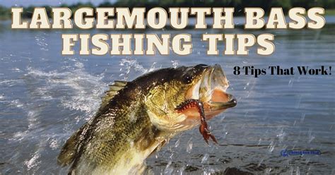 Largemouth Bass Fishing Tips: A Complete Guide .